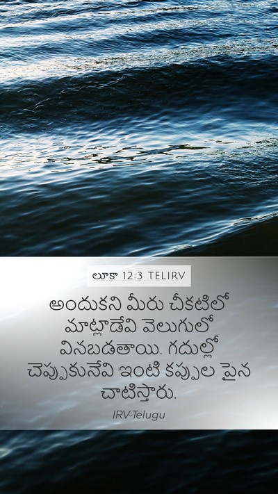 లూకా 12:3 TELIRV Bible Verse Image