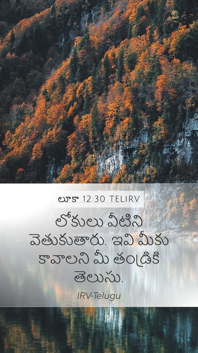 లూకా 12:30 TELIRV Bible Verse Image