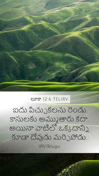 లూకా 12:6 TELIRV Bible Verse Image