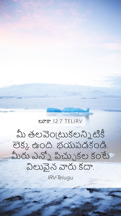 లూకా 12:7 TELIRV Mobile Phone Wallpaper - మీ - Mobile Bible Verse Wallpaper