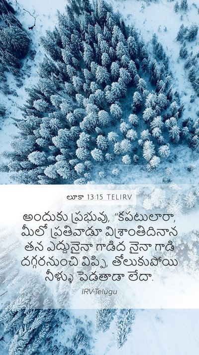 లూకా 13:15 TELIRV Bible Verse Image