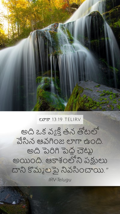 లూకా 13:19 TELIRV Bible Verse Image