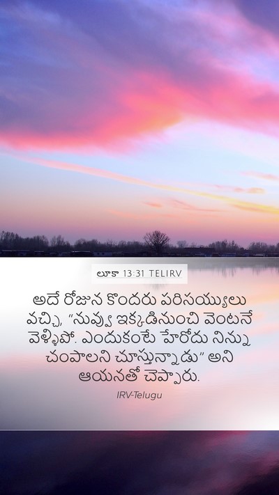 లూకా 13:31 TELIRV Bible Verse Image
