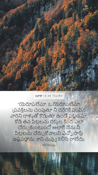 లూకా 13:34 TELIRV Bible Verse Image