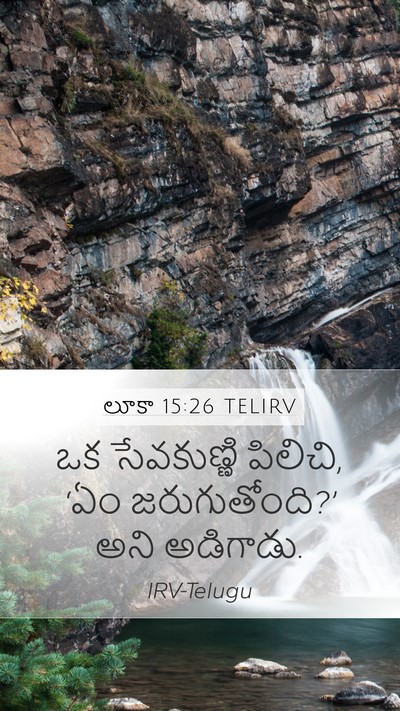 లూకా 15:26 TELIRV Mobile Phone Wallpaper - ఒక సేవకుణ్ణి - Mobile Bible Verse Wallpaper