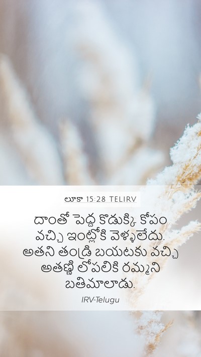 లూకా 15:28 TELIRV Bible Verse Image