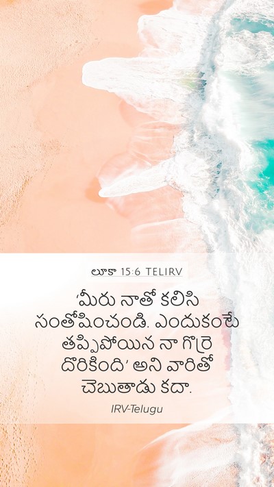 లూకా 15:6 TELIRV Bible Verse Image