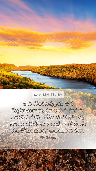 లూకా 15:9 TELIRV Mobile Phone Wallpaper - అది దొరికినప్పుడు - Mobile Bible Verse Wallpaper