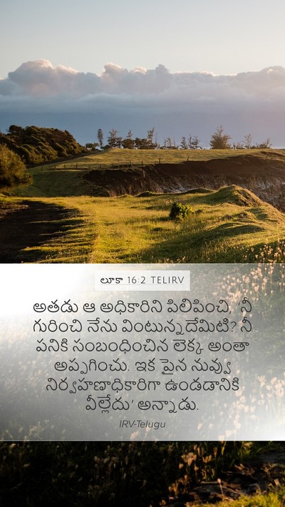 లూకా 16:2 TELIRV Mobile Phone Wallpaper - అతడు ఆ అధికారిని - Mobile Bible Verse Wallpaper