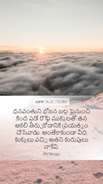 లూకా 16:21 TELIRV Mobile Phone Wallpaper - ధనవంతుని భోజన - Mobile Bible Verse Wallpaper