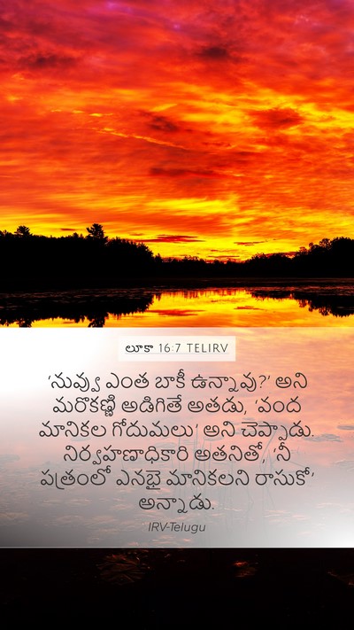 లూకా 16:7 TELIRV Mobile Phone Wallpaper - ‘నువ్వు ఎంత బాకీ - Mobile Bible Verse Wallpaper