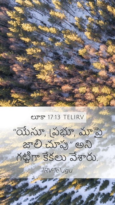 లూకా 17:13 TELIRV Mobile Phone Wallpaper - “యేసూ, ప్రభూ, మాపై - Mobile Bible Verse Wallpaper
