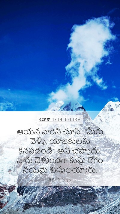 లూకా 17:14 TELIRV Mobile Phone Wallpaper - ఆయన వారిని చూసి, - Mobile Bible Verse Wallpaper