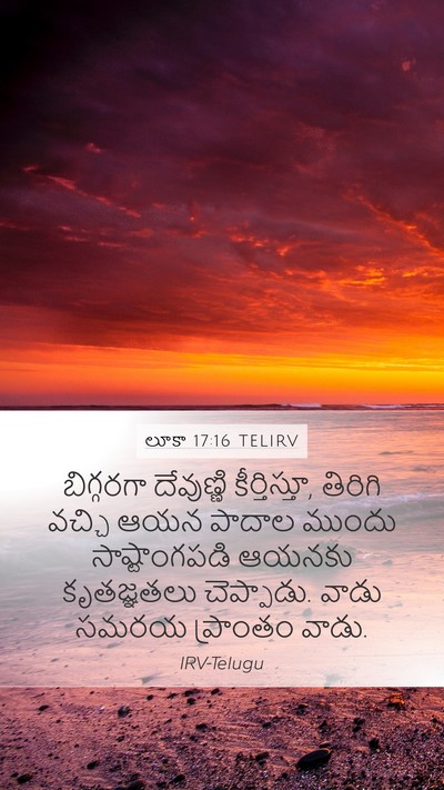 లూకా 17:16 TELIRV Mobile Phone Wallpaper - బిగ్గరగా దేవుణ్ణి - Mobile Bible Verse Wallpaper