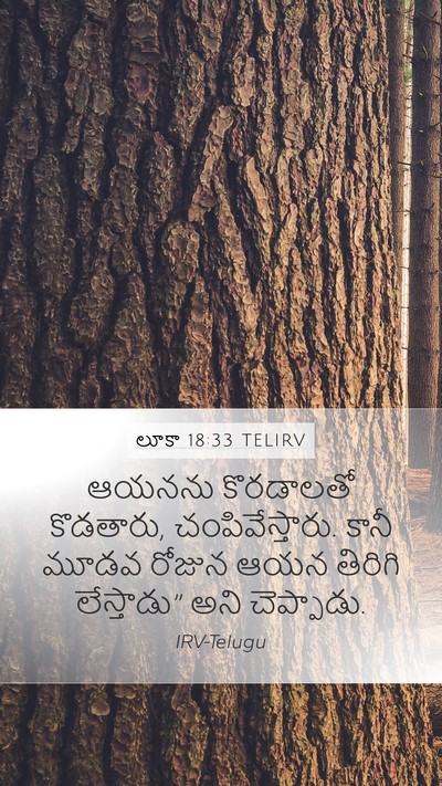 లూకా 18:33 TELIRV Bible Verse Image