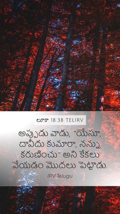 లూకా 18:38 TELIRV Bible Verse Image