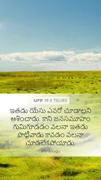 లూకా 19:3 TELIRV Mobile Phone Wallpaper - ఇతడు యేసు ఎవరో - Mobile Bible Verse Wallpaper