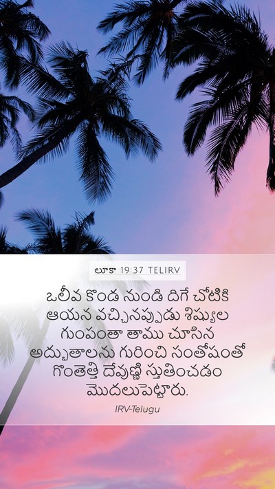 లూకా 19:37 TELIRV Bible Verse Image