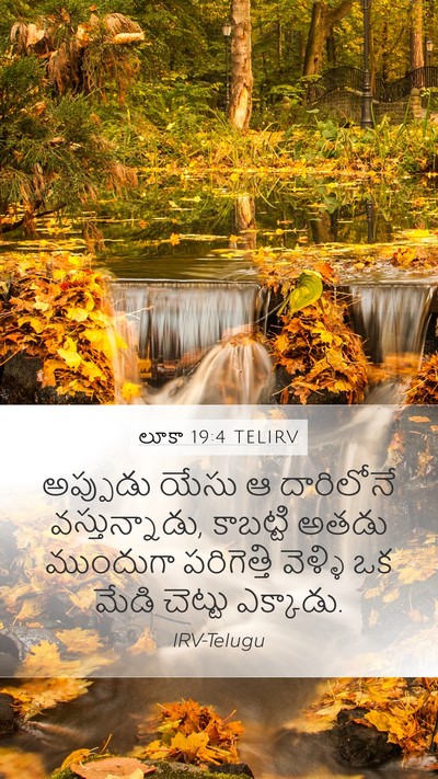 లూకా 19:4 TELIRV Bible Verse Image