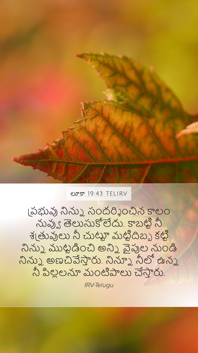 లూకా 19:43 TELIRV Bible Verse Image