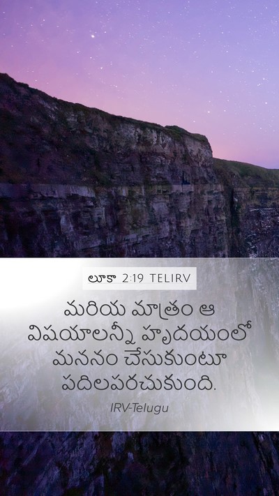 లూకా 2:19 TELIRV Bible Verse Image