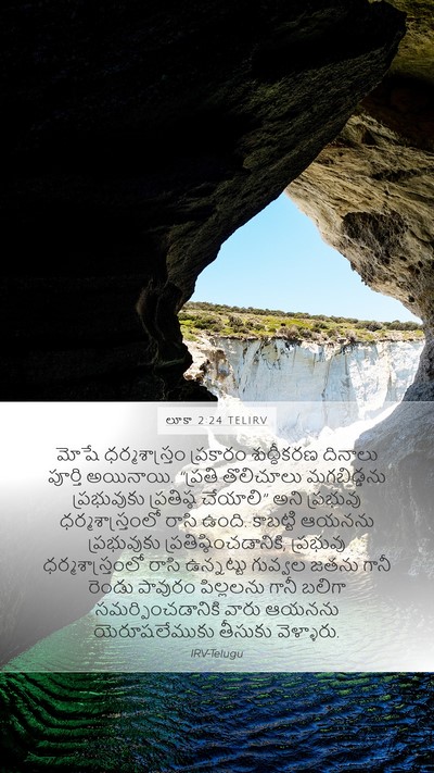లూకా 2:24 TELIRV Mobile Phone Wallpaper - మోషే ధర్మశాస్త్రం - Mobile Bible Verse Wallpaper