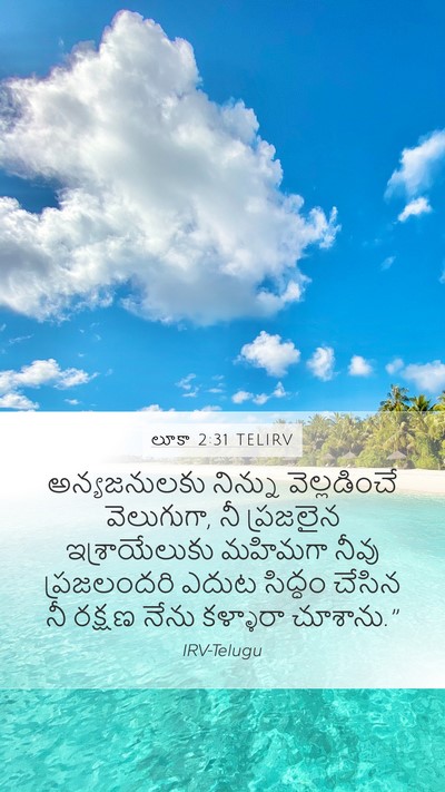 లూకా 2:31 TELIRV Mobile Phone Wallpaper - అన్యజనులకు నిన్ను - Mobile Bible Verse Wallpaper