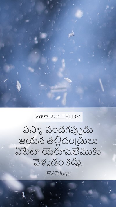 లూకా 2:41 TELIRV Mobile Phone Wallpaper - పస్కా పండగప్పుడు - Mobile Bible Verse Wallpaper