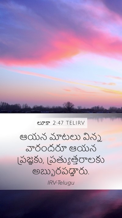 లూకా 2:47 TELIRV Bible Verse Image