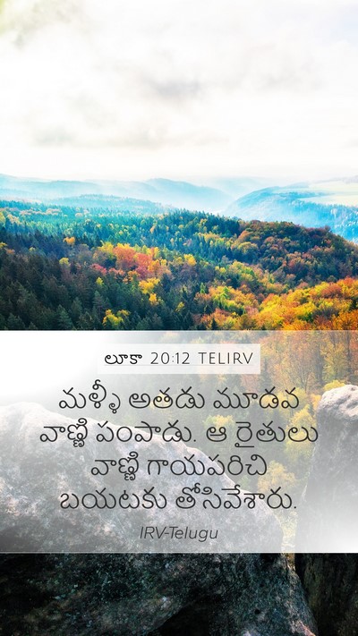 లూకా 20:12 TELIRV Bible Verse Image