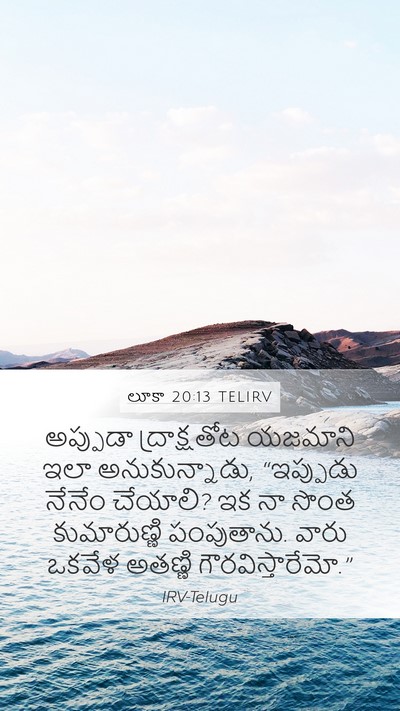 లూకా 20:13 TELIRV Mobile Phone Wallpaper - అప్పుడా - Mobile Bible Verse Wallpaper