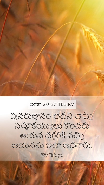 లూకా 20:27 TELIRV Bible Verse Image