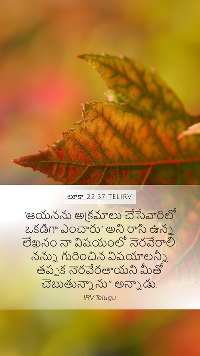 లూకా 22:37 TELIRV Bible Verse Image