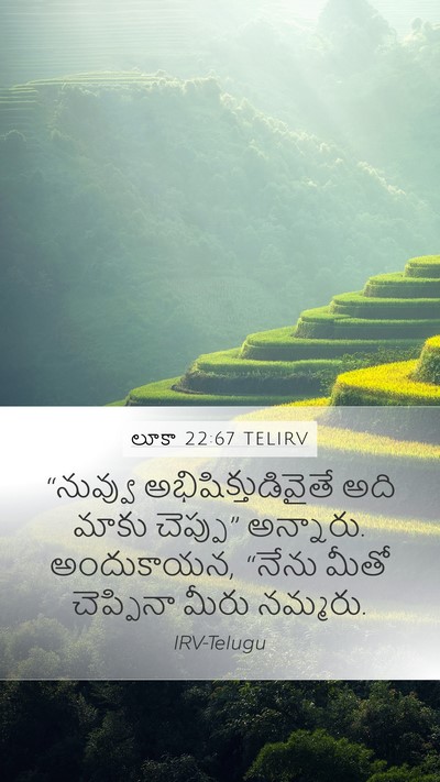 లూకా 22:67 TELIRV Mobile Phone Wallpaper - “నువ్వు - Mobile Bible Verse Wallpaper