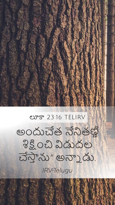 లూకా 23:16 TELIRV Bible Verse Image