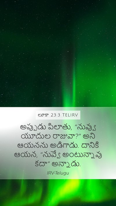 లూకా 23:3 TELIRV Bible Verse Image