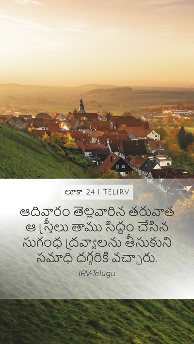 లూకా 24:1 TELIRV Mobile Phone Wallpaper - ఆదివారం - Mobile Bible Verse Wallpaper