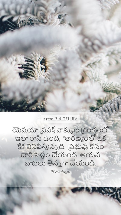 లూకా 3:4 TELIRV Bible Verse Image