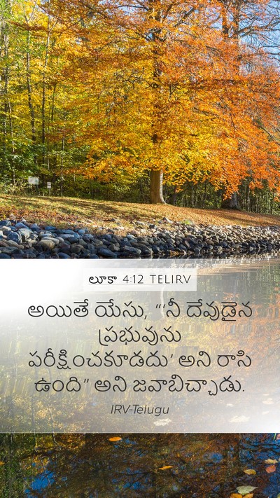 లూకా 4:12 TELIRV Mobile Phone Wallpaper - అయితే యేసు, “‘నీ - Mobile Bible Verse Wallpaper