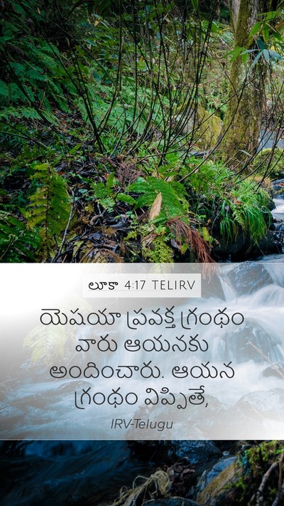 లూకా 4:17 TELIRV Bible Verse Image