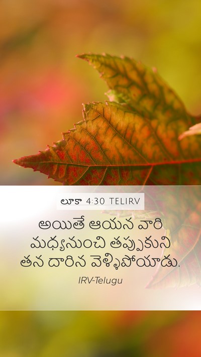 లూకా 4:30 TELIRV Bible Verse Image