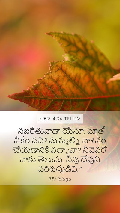 లూకా 4:34 TELIRV Bible Verse Image