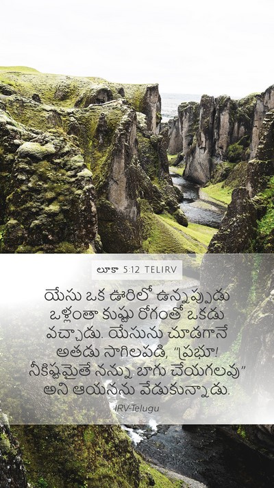 లూకా 5:12 TELIRV Bible Verse Image