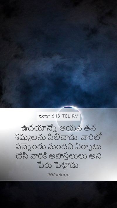 లూకా 6:13 TELIRV Bible Verse Image