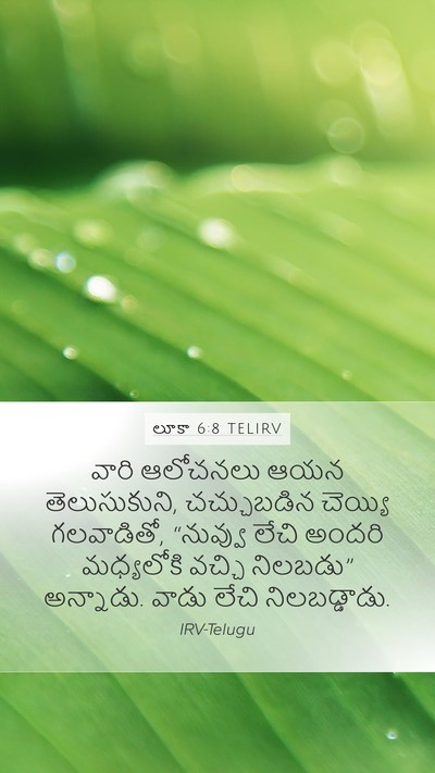 లూకా 6:8 TELIRV Bible Verse Image
