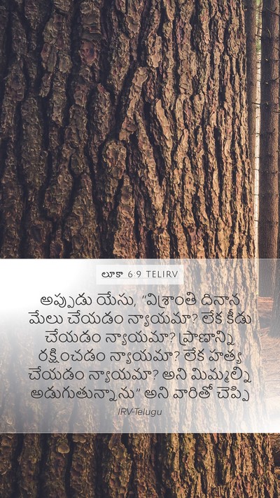 లూకా 6:9 TELIRV Mobile Phone Wallpaper - అప్పుడు యేసు, - Mobile Bible Verse Wallpaper