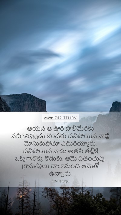 లూకా 7:12 TELIRV Mobile Phone Wallpaper - ఆయన ఆ ఊరి - Mobile Bible Verse Wallpaper