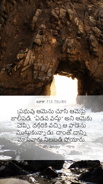 లూకా 7:13 TELIRV Bible Verse Image