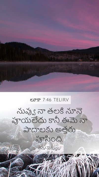లూకా 7:46 TELIRV Mobile Phone Wallpaper - నువ్వు నా తలకి - Mobile Bible Verse Wallpaper