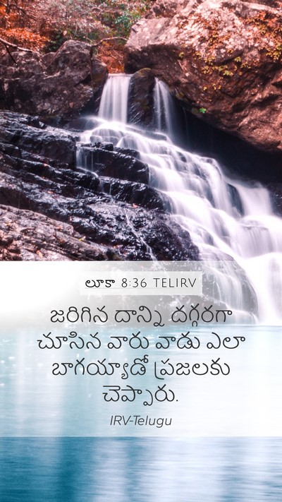లూకా 8:36 TELIRV Mobile Phone Wallpaper - జరిగిన దాన్ని - Mobile Bible Verse Wallpaper